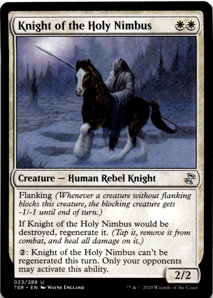 Knight of the Holy Nimbus