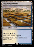 Irrigated Farmland