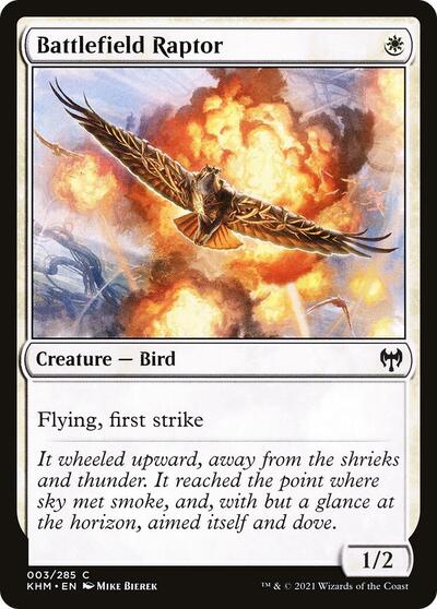 2021 Magic: The Gathering: Kaldheim (KHM) - Battlefield Raptor (#3, Common) (, Lightly Played)