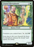2022 Magic: The Gathering: Starter Commander Decks (SCD) - Citanul Hierophants (#175, Rare) (, Near Mint)