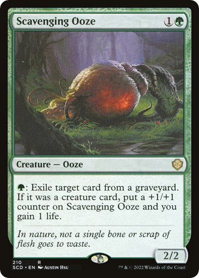 2022 Magic: The Gathering: Starter Commander Decks (SCD) - Scavenging Ooze (#210, Rare) (, Near Mint)