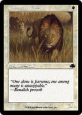 2023 Magic: The Gathering: Dominaria Remastered (DMR) - Savannah Lions Retro Frame (#270, Common) (, Lightly Played)