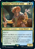 2023 Magic: The Gathering: Commander: The Lord of the Rings: Tales of Middle-earth (LTC) - Radagast Wizard of Wilds (#66, Rare) (, Near Mint)
