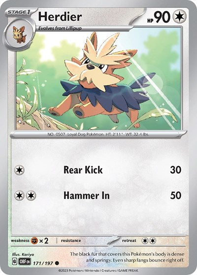 2023 Pokemon: SV03: Obsidian Flames (OBF) - Herdier (#171/197, Common) (, Near Mint)