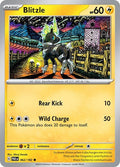 2023 Pokemon: SV04: Paradox Rift (PAR) - Blitzle 062 182 (#062/182, Common) (, Near Mint)