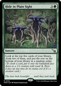 2024 Magic: The Gathering: Murders at Karlov Manor (MKM) - Hide in Plain Sight (#166, Rare)