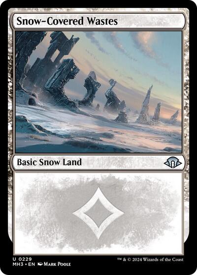 2024 Magic: The Gathering: Modern Horizons 3 (MH3) - Snow Covered Wastes 0229 (#229, Uncommon) (Foil, Near Mint)