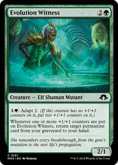 2024 Magic: The Gathering: Modern Horizons 3 (MH3) - Evolution Witness (#151, Common)