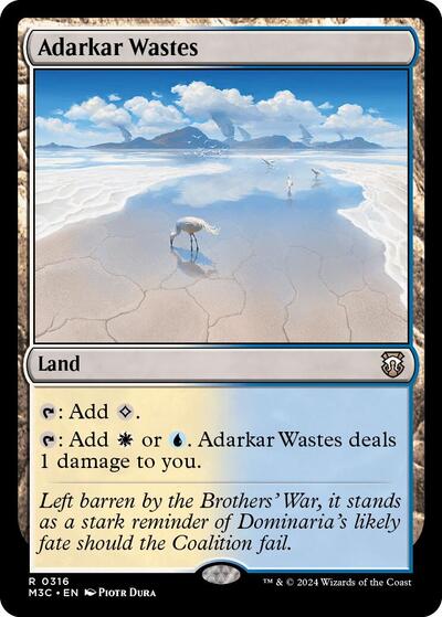 2024 Magic: The Gathering: Commander: Modern Horizons 3 (M3C) - Adarkar Wastes (#316, Rare) (, Near Mint)