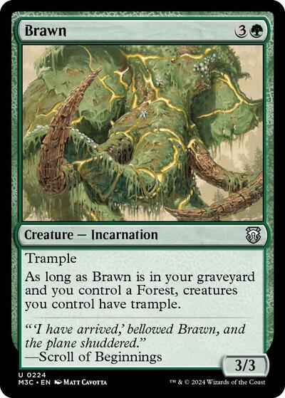 2024 Magic: The Gathering: Commander: Modern Horizons 3 (M3C) - Brawn (#224, Uncommon) (, Near Mint)