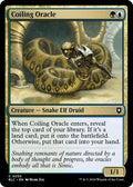 2024 Magic: The Gathering: Commander: Bloomburrow (BLC) - Coiling Oracle (#250, Common) (, Near Mint)
