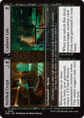 2024 Magic: The Gathering: Duskmourn: House of Horror (DSK) - Defiled Crypt Cadaver Lab (#91, Uncommon) (, Near Mint)