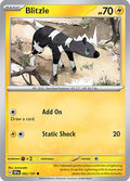 2024 Pokemon: SV08: Surging Sparks (SSP) - Blitzle (#062/191, Common) (, Near Mint)