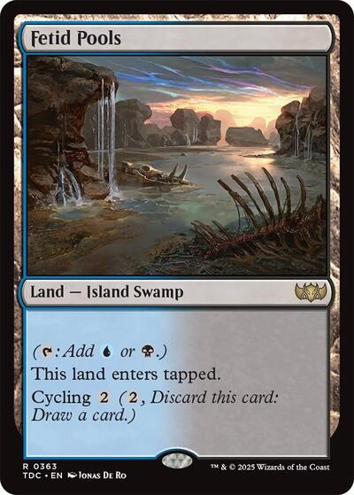 2025 Magic: The Gathering: Commander: Tarkir: Dragonstorm (TDC) - Fetid Pools (#363, Rare) (, Near Mint)