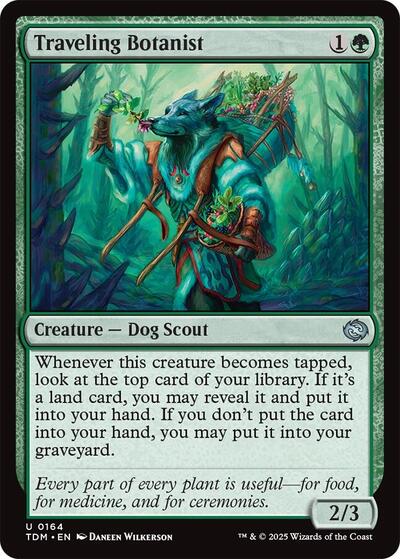 2025 Magic: The Gathering: Tarkir: Dragonstorm (TDM) - Traveling Botanist (#164, Uncommon) (, Near Mint)