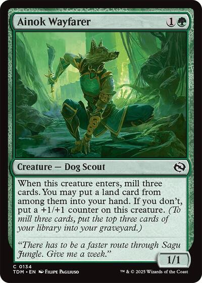 2025 Magic: The Gathering: Tarkir: Dragonstorm (TDM) - Ainok Wayfarer (#134, Common) (, Near Mint)