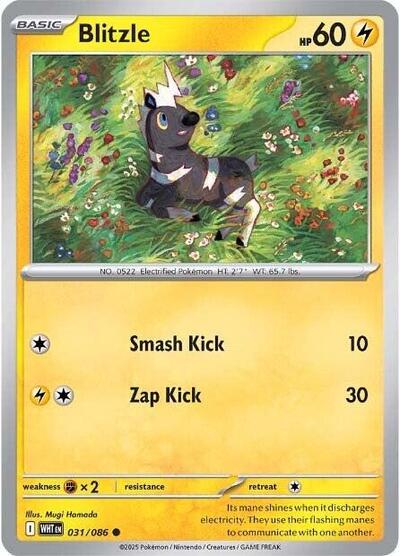 2025 Pokemon: SV: White Flare (WHT) - Blitzle (#031/086, Common) (, Near Mint)