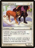 2012 Magic: The Gathering: Return to Ravnica (RTR) - Trained Caracal (#27, Common) (, Near Mint)
