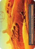 2025 Sorcery: Contested Realm: Gothic (GT) - Accursed Desert (, Ordinary) (, Near Mint)