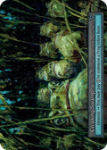 2025 Sorcery: Contested Realm: Gothic (GT) - Croaking Swamp (, Ordinary) (, Near Mint)