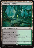 2026 Magic: The Gathering: Commander: Lorwyn Eclipsed (ECC) - Festering Thicket (#61, Rare) (, Near Mint)