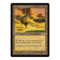 1998 Magic: The Gathering: Urza's Saga (USG) - Serras Sanctum (#325, Rare) (, Near Mint)