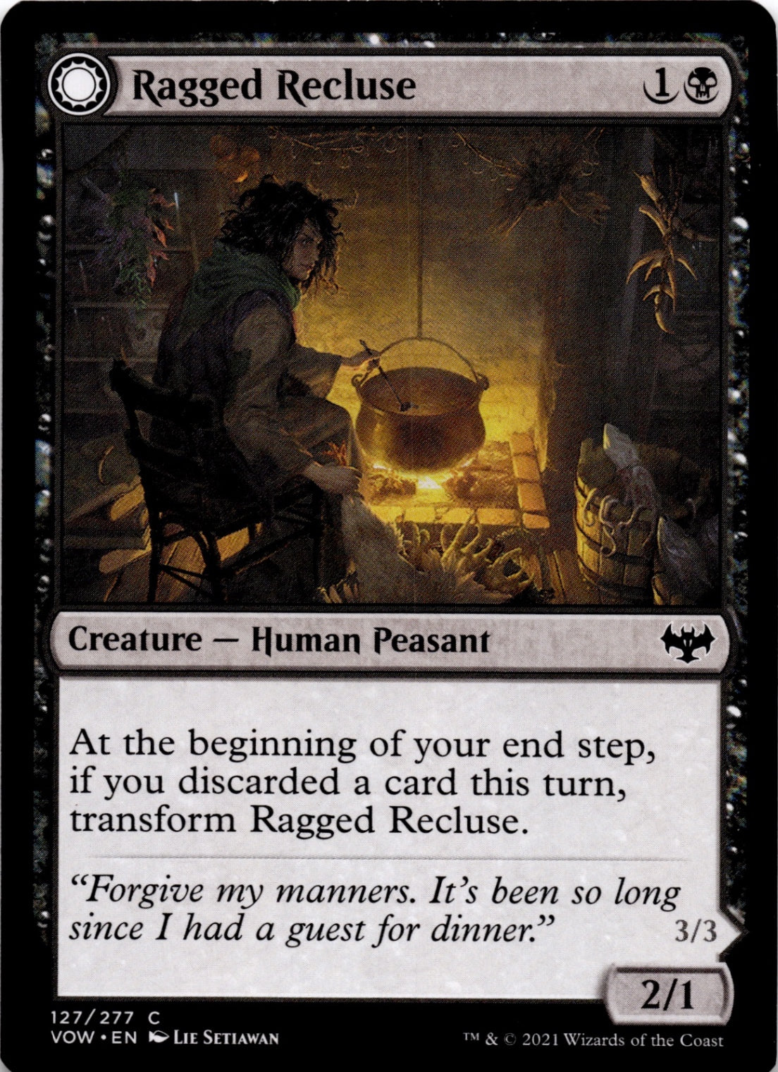 Ragged Recluse