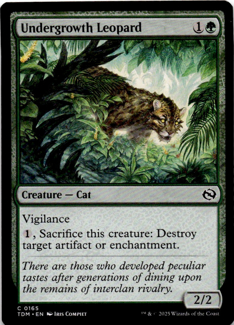 Undergrowth Leopard