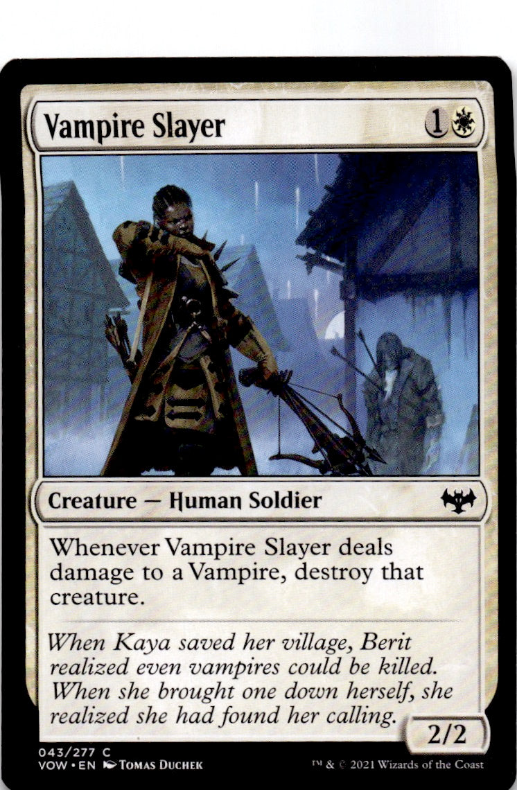 Vampire Slayer