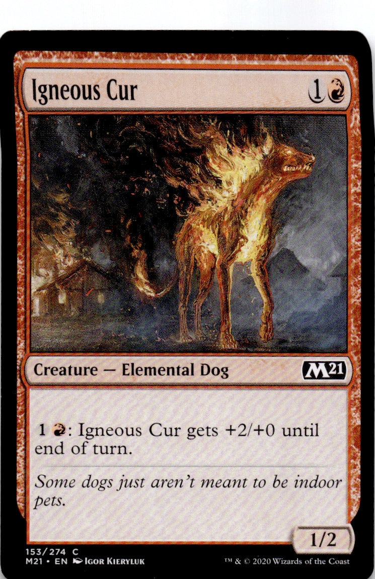 Igneous Cur