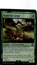 Brandywine Farmer