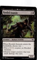 Hooded Assassin